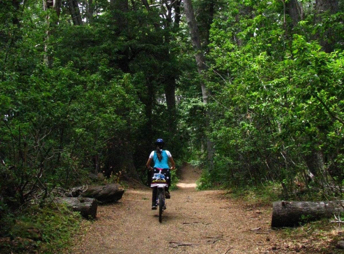 o que fazer em villa la angostura percurso de bike no bosque