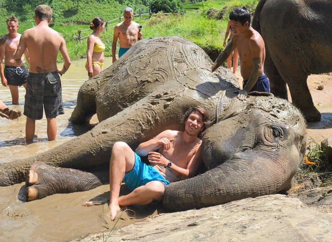 lugares para visitar na tailândia pessoas em banho de lama com elefante