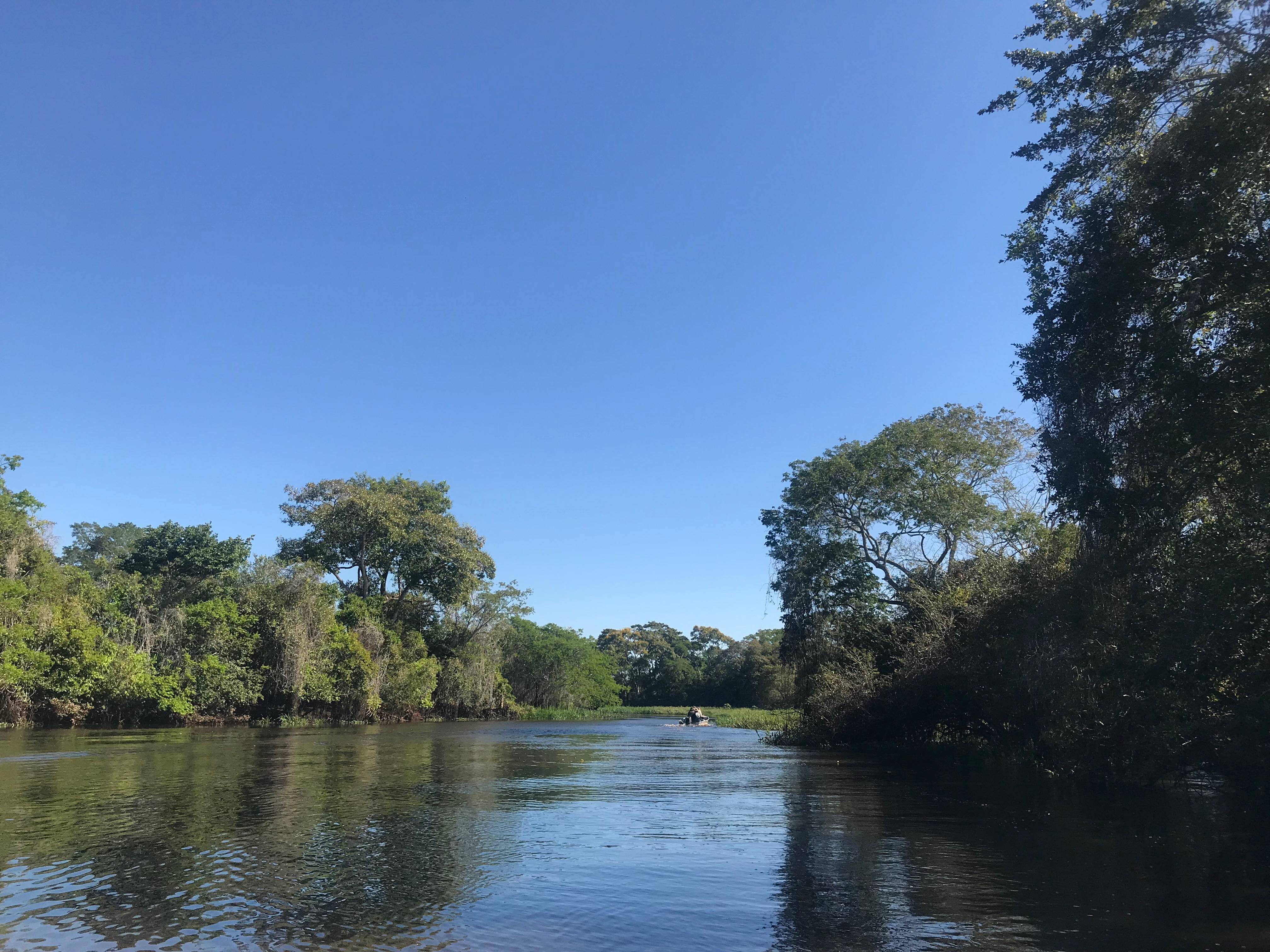 o que fazer no Pantanal
