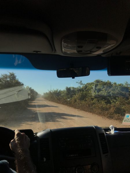 o que fazer no Pantanal
