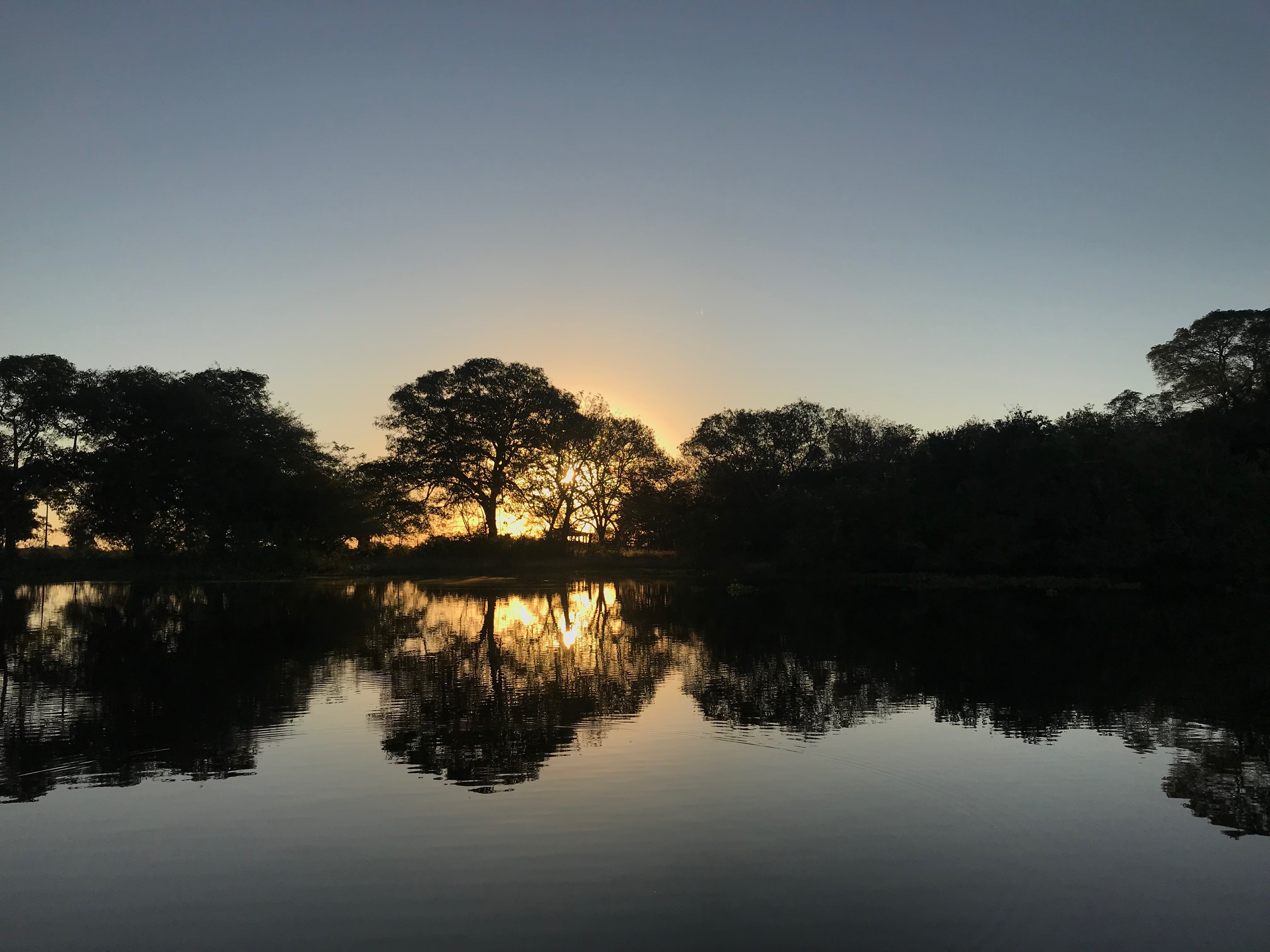 o que fazer no Pantanal