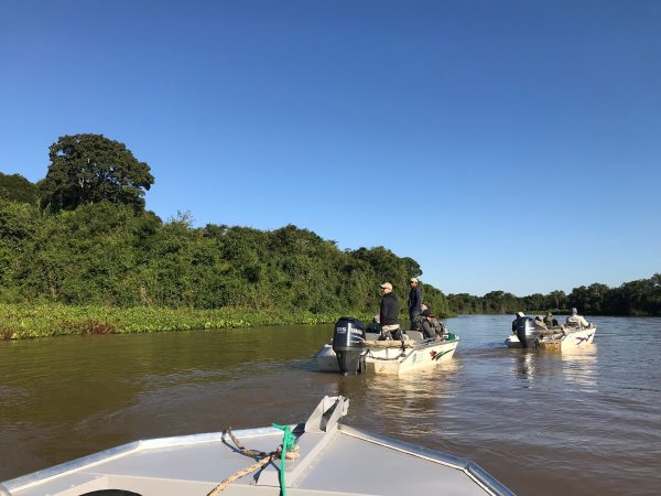 o que fazer no Pantanal