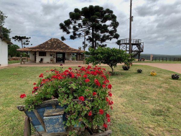 jardim com carrinho de mão e flores