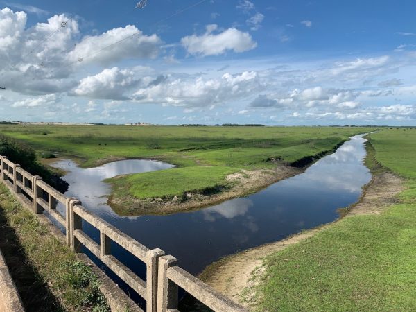 vista de campo verde com laguinho