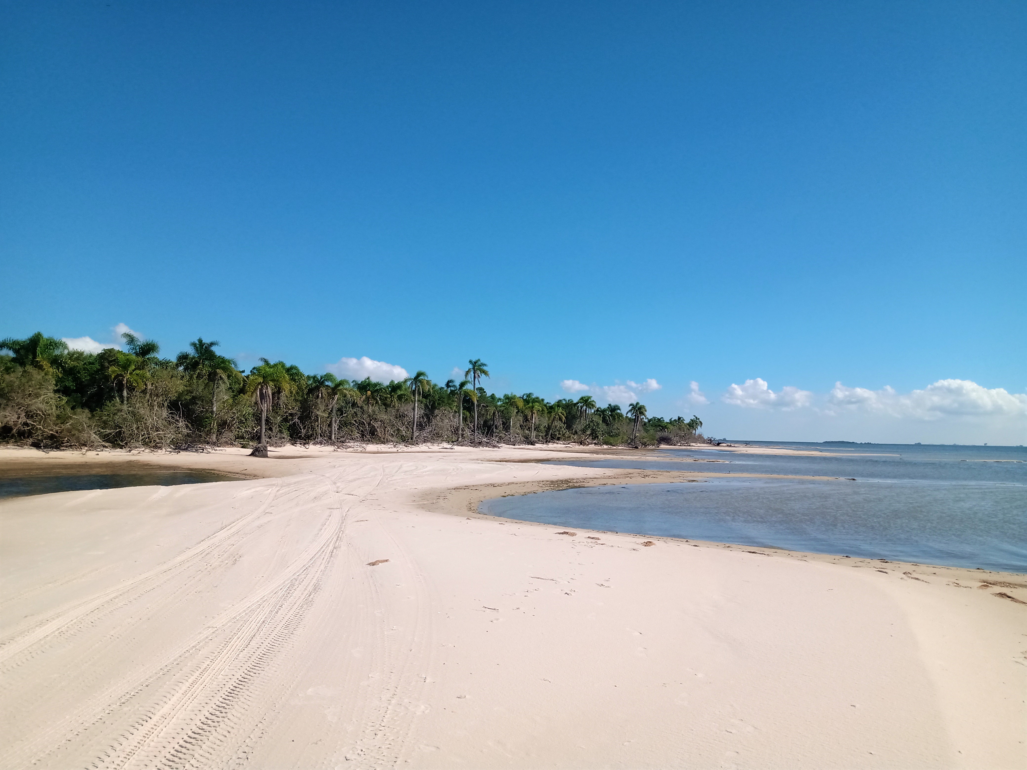 faixa de areia em frente à lagoa e coqueiros ao fundo