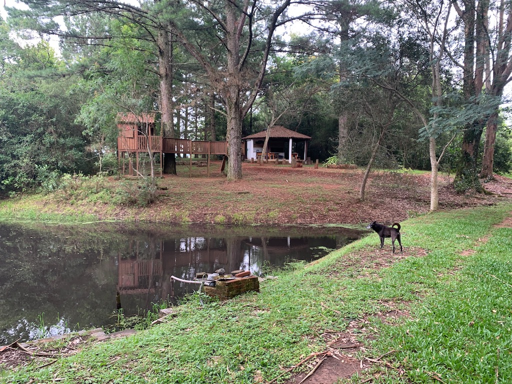 lago, um cachorro e quiosque ao fundo