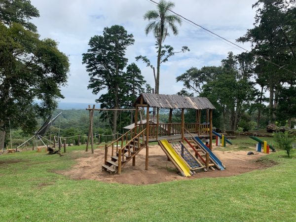 playground ao ar livre, com grama e árvores ao fundo