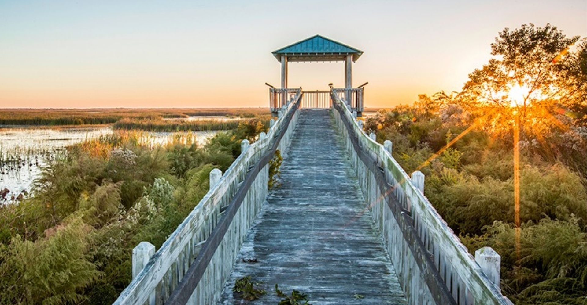 5 Roteiros No Sul Dos Estados Unidos Para Curtir A Natureza Travelterapia 1295