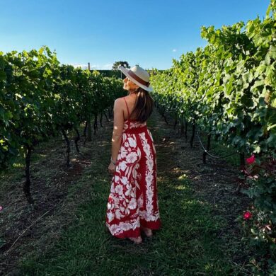 pessoa nos vinhedos da vinicola campestre