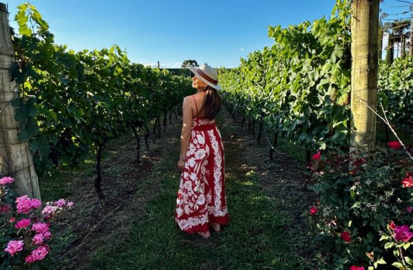pessoa nos vinhedos da vinicola campestre