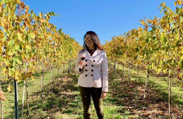 vinhedos e pessoa tomando vinho na vinícola campestre